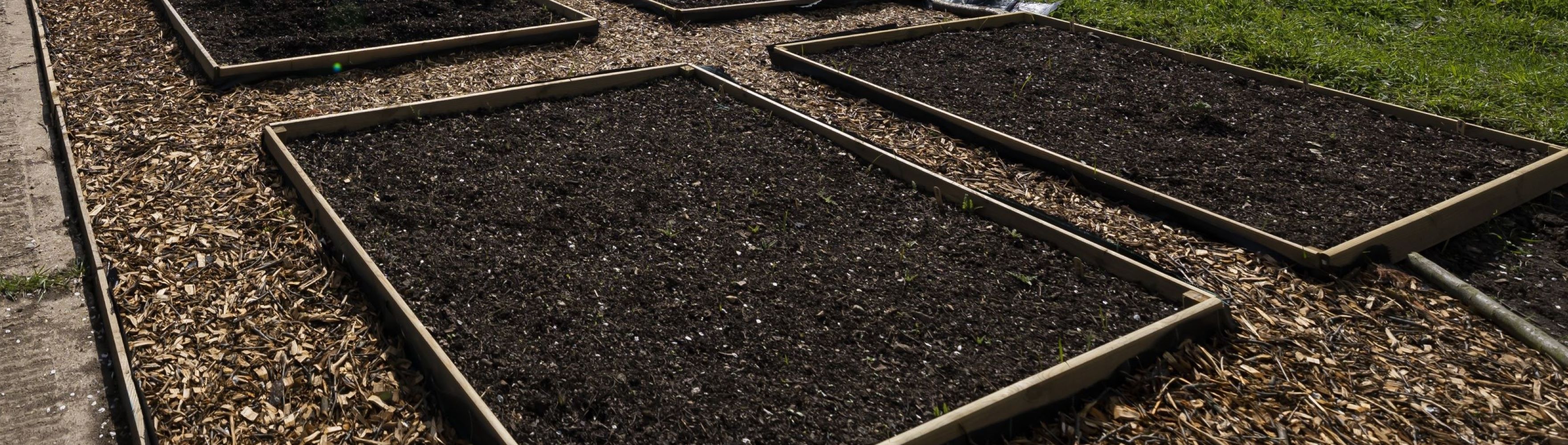 Picture of Allotments