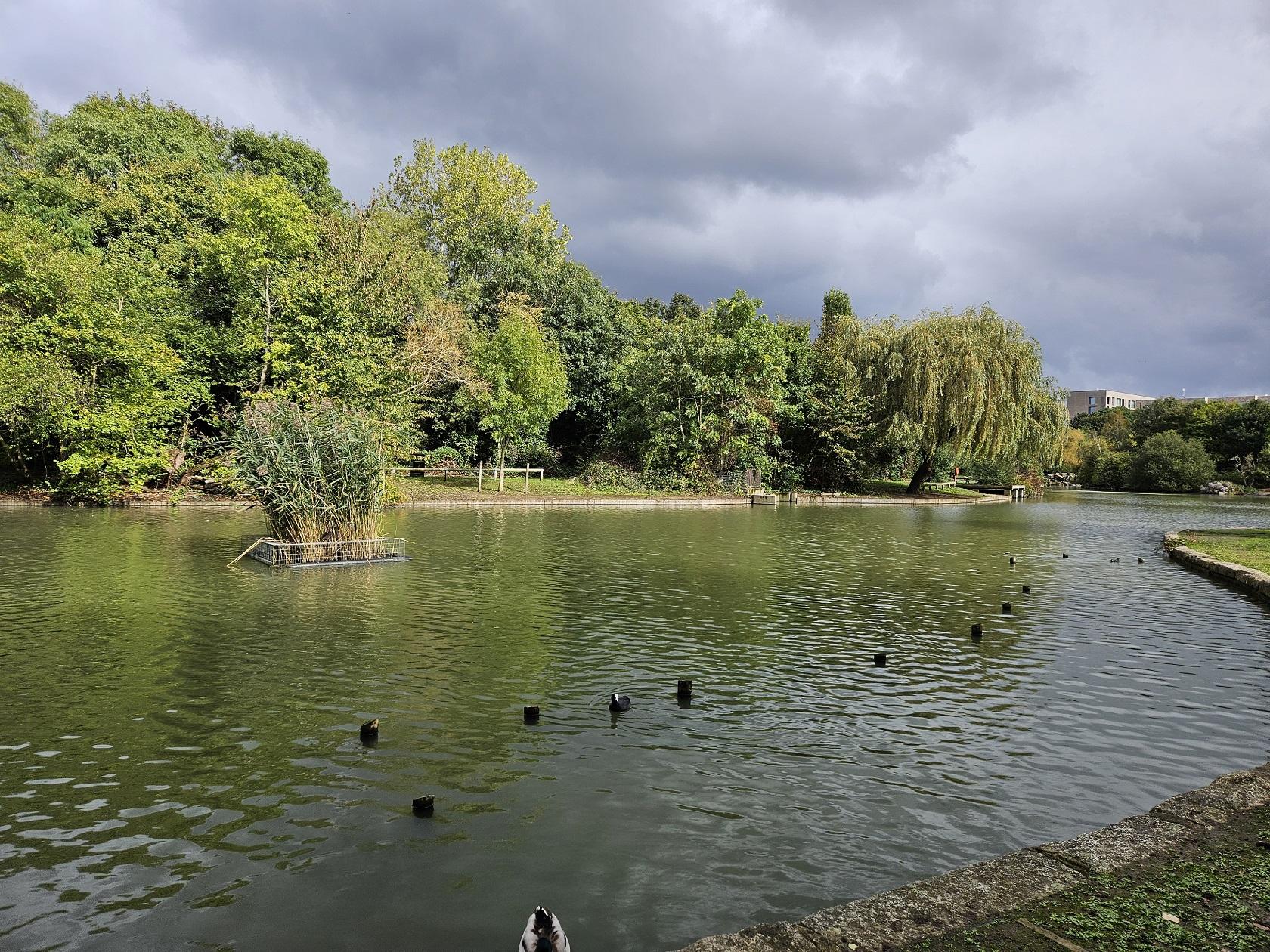 Beckton Park Lake