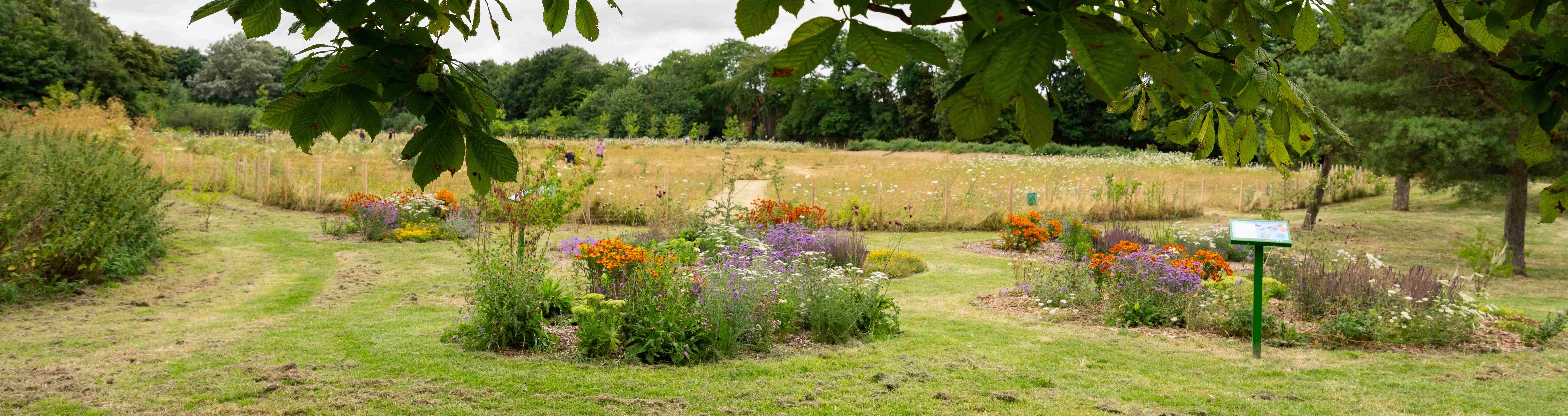 Beckton meadows banner image updated