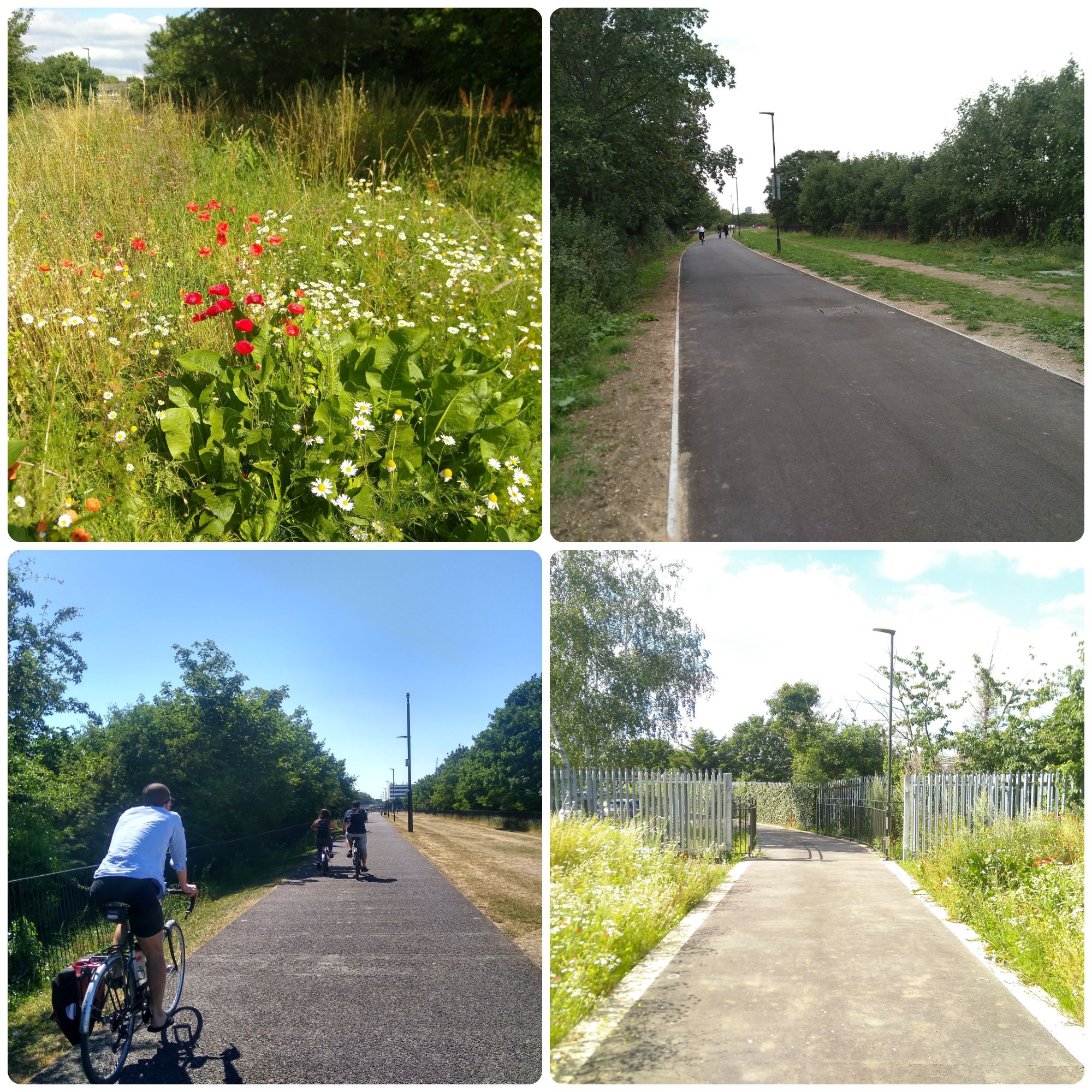 The greenway pollinator trail 1